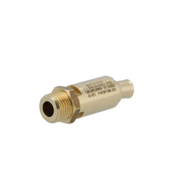 Apsauginis vožtuvas Airpress 1/4" 8 bar, srautas 2 456 l/min